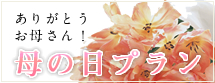 母の日プラン お母さんへ贈る感謝の気持ち