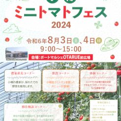 小樽港　ポートマルシェＯＴＡＲＵＥ前広場にて、小樽ミニトマトフェス開催。当館からも本日は冷製しりべしコトリアードとにしん群来バーガーを販売しております。是非、遊びにいらっしゃって下さいませ。